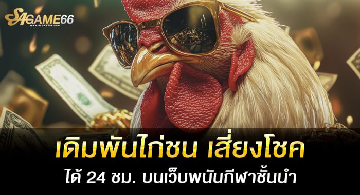 เดิมพันไก่ชน เสี่ยงโชคได้ 24 ชม. บนเว็บพนันกีฬาชั้นนำ