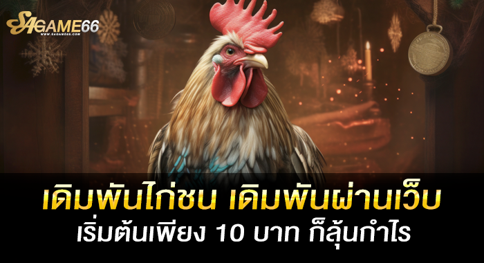 เดิมพันไก่ชน เดิมพันผ่านเว็บ เริ่มต้นเพียง 10 บาท ก็ลุ้นกำไร