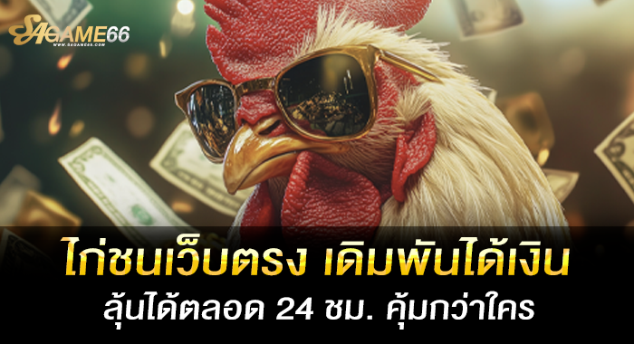 ไก่ชนเว็บตรง เดิมพันได้เงิน ลุ้นได้ตลอด 24 ชม. คุ้มกว่าใคร